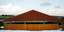 Shingles and OSB Roofing Boards
