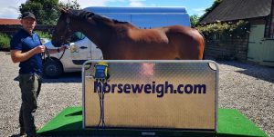 Horse Weigh Distributor
