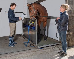 Harry Meade Horse Weighing
