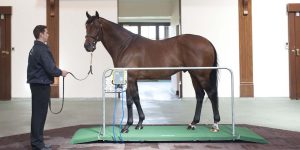 Horse Weigh Mini Tokyo Thoroughbred platform