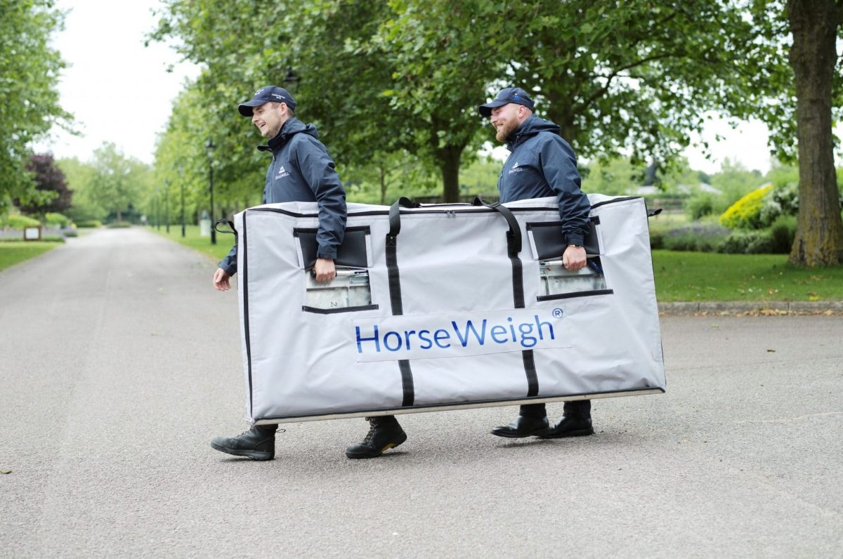 Horse weigh mobility