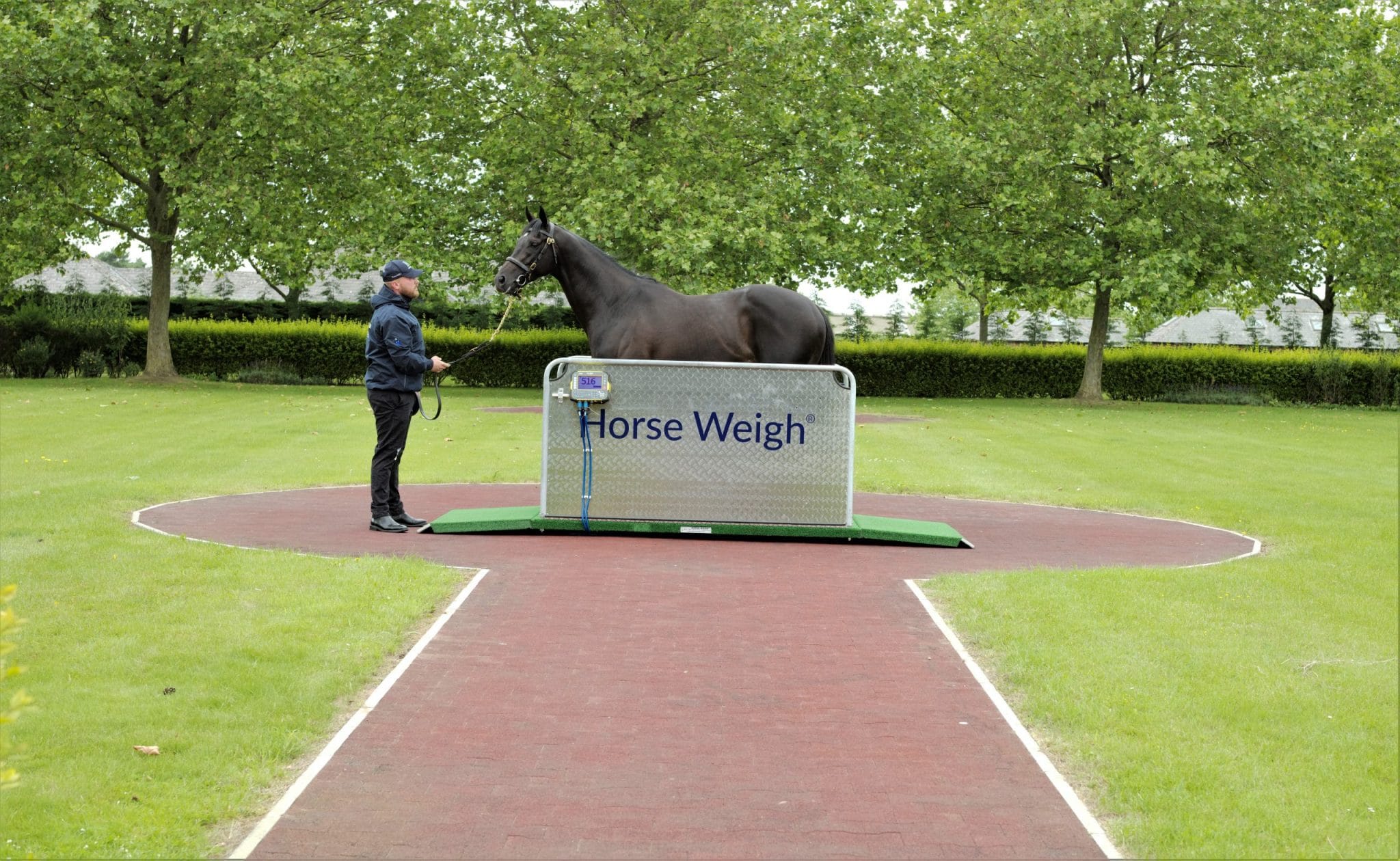Why that towering horse really tips the scales in pounds