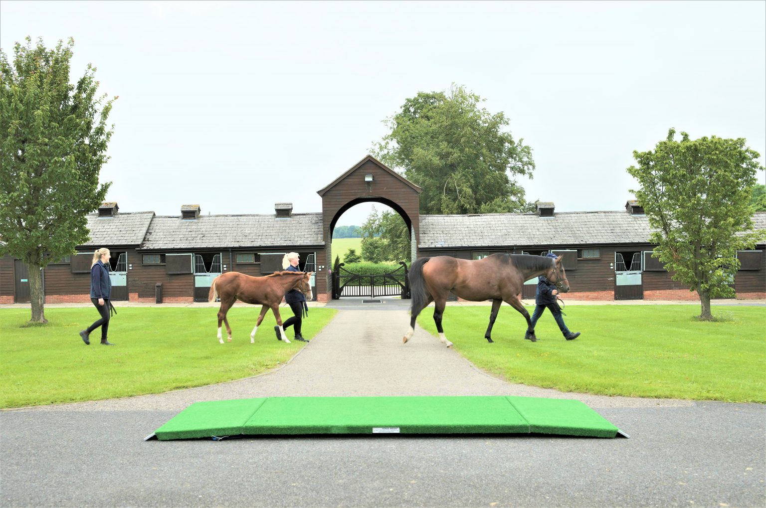 Horse Weigh Leading Horse Weighing Scales & Platforms