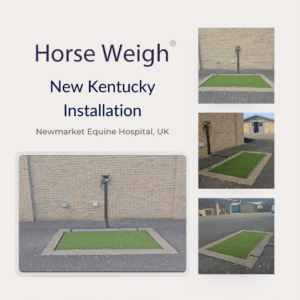 Newmarket Equine Hosptial Horse Weigh New Kentucky Installation
