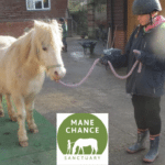 Mane Chance Sanctuary Review for Horse Weigh